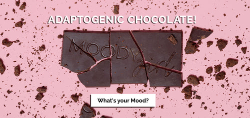 Adaptogenic Chocolate-Moody Girl