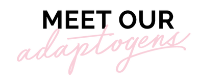 Meet our Adaptogens-Moody Girl Chocolate