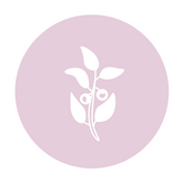 Ashwagandha-Moody Girl Chocolate